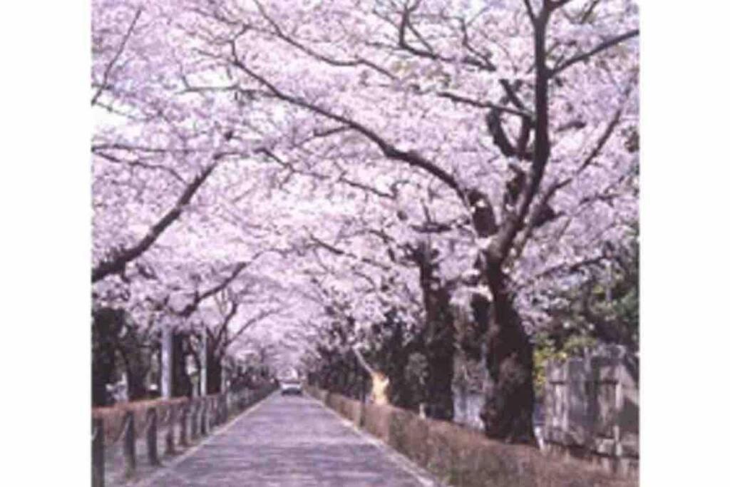 Small Villa Tokyo 渋谷まで2駅10分 青山一丁目駅徒歩3分一軒家ペット歓迎お子様歓迎駐車場あり6人までok Dış mekan fotoğraf